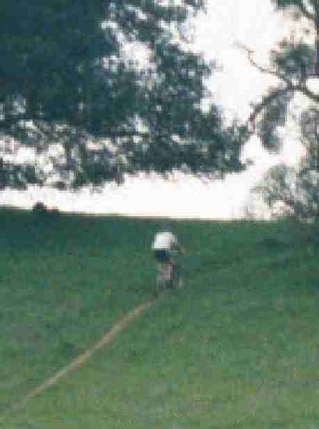 Off-trail mountain biking near marker #22 (detail of biker)