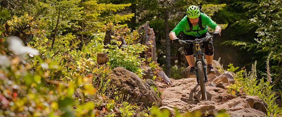 mountain biker "enjoying nature"