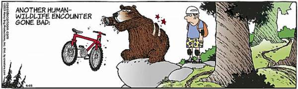mountain bike vs. bear