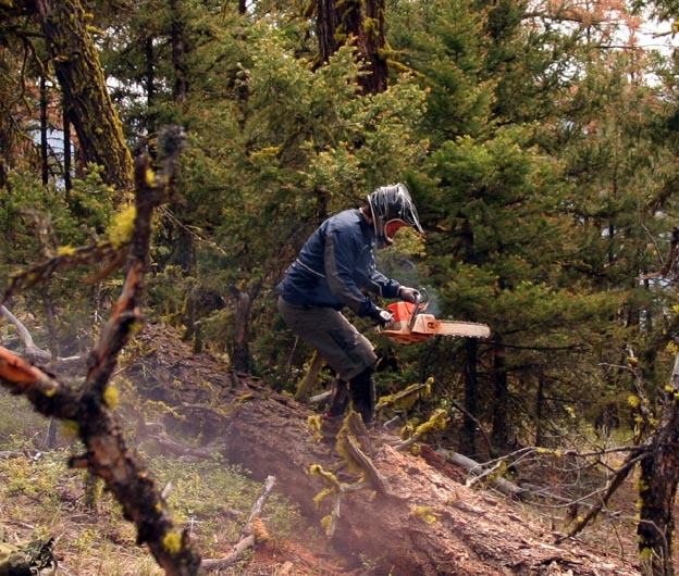 mountain biker Kevin Aitken illegally destroying British Columbia rainforest