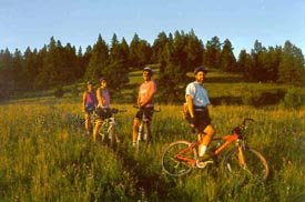 mountain bikers riding off-trail